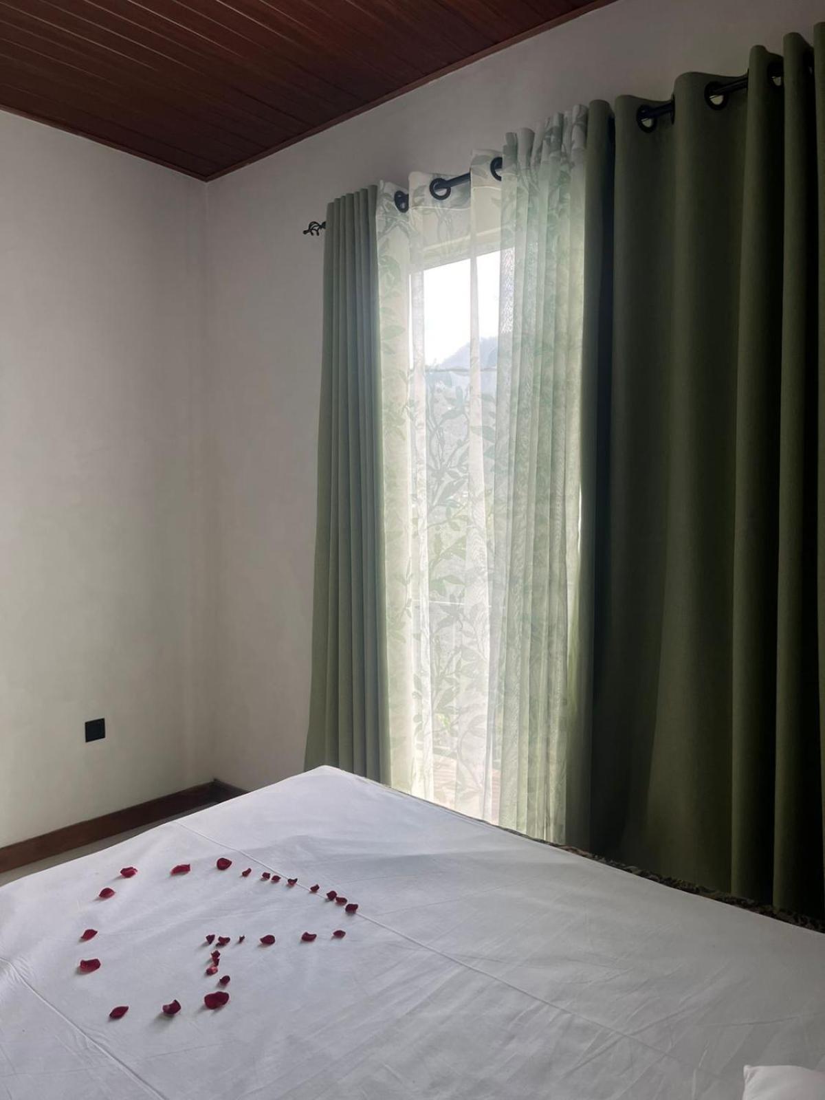 Bloom House Homestay バンダーラウェラ エクステリア 写真
